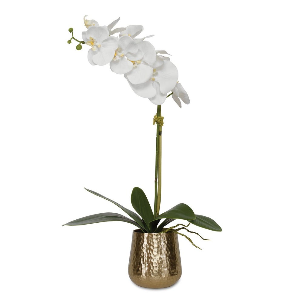 Orquidea Decorativa Cami