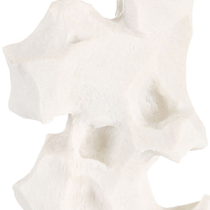 Lampara de Mesa Osmo Set de 2