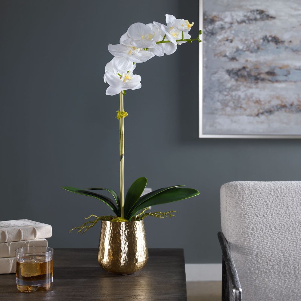 Orquidea Decorativa Cami