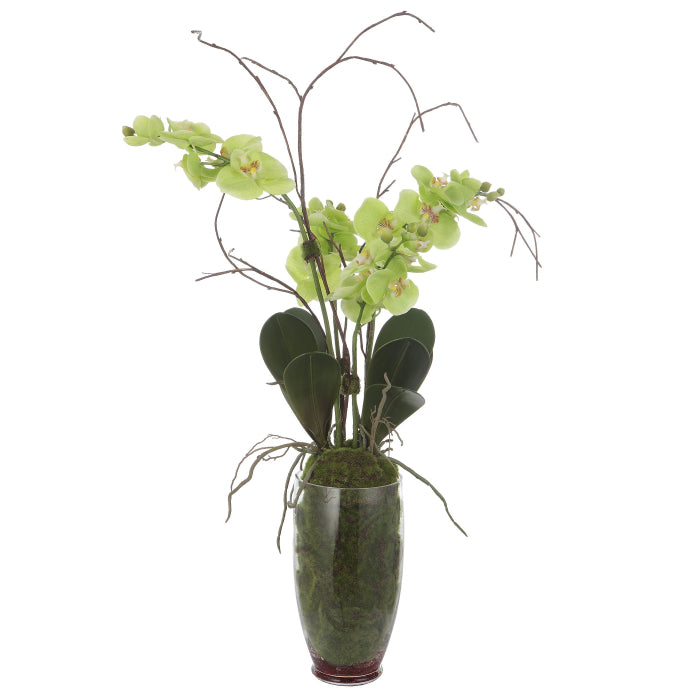 Orquidea Decorativa Lima