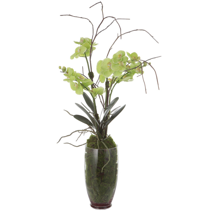 Orquidea Decorativa Lima