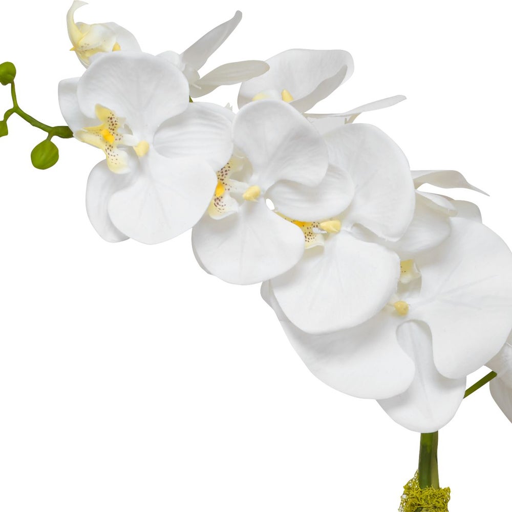 Orquidea Decorativa Cami